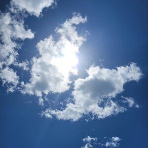 Meet your Posher, Callia